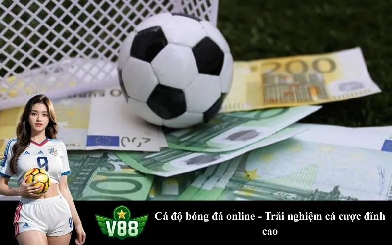 Cá độ bóng đá online - Trải nghiệm cá cược đỉnh cao