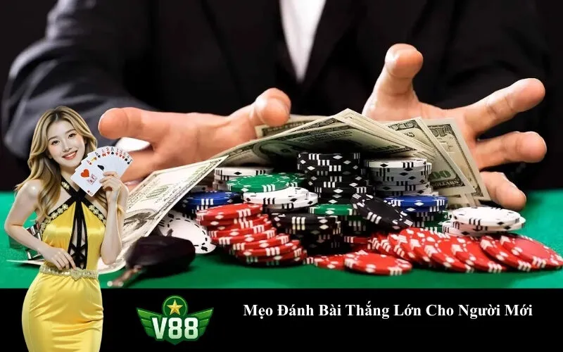 Mẹo Đánh Bài Thắng Lớn Cho Người Mới